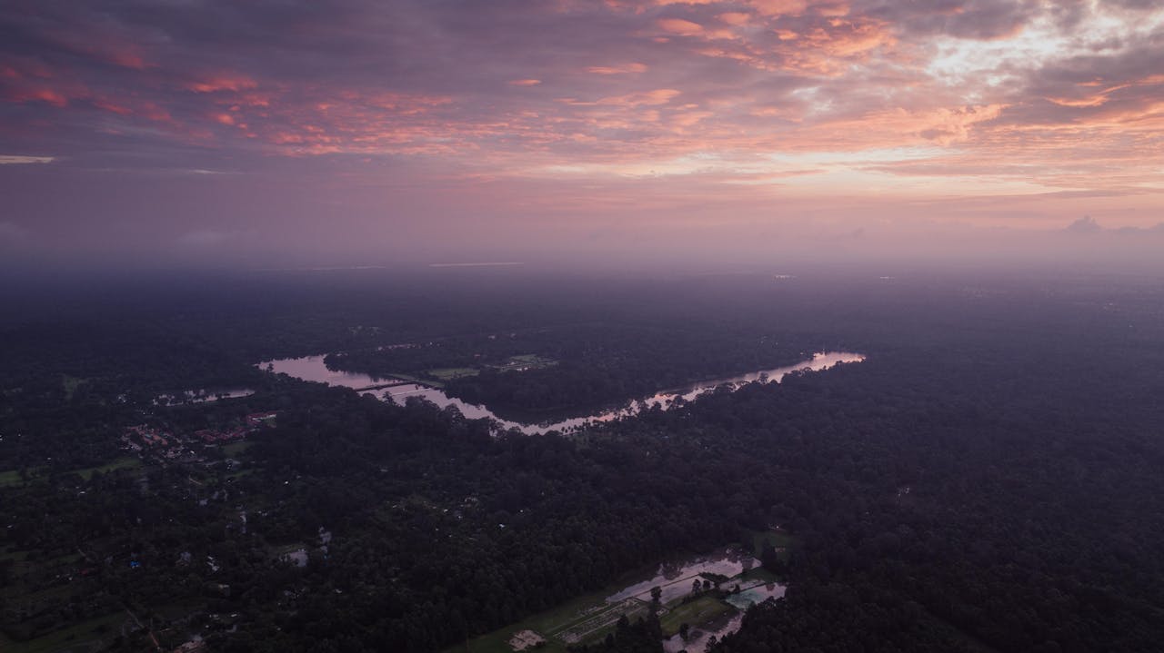 Forest around Angkor Wat at Sunset