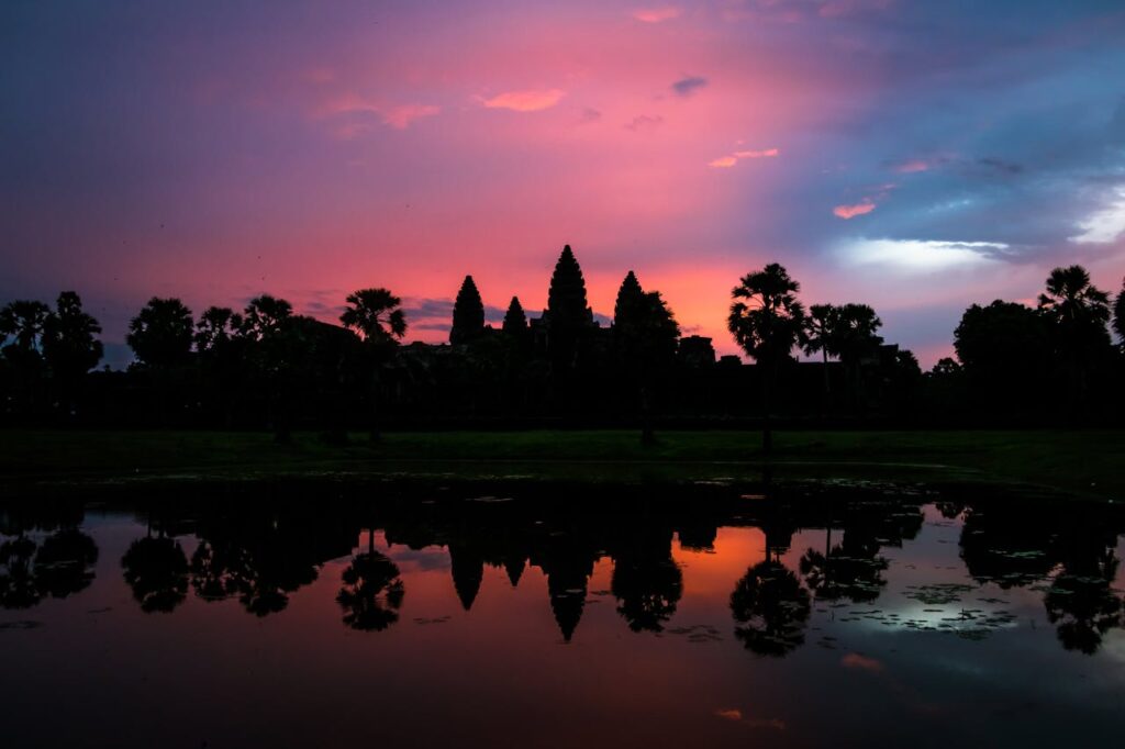 Silhouette of Trees Near Body of Water